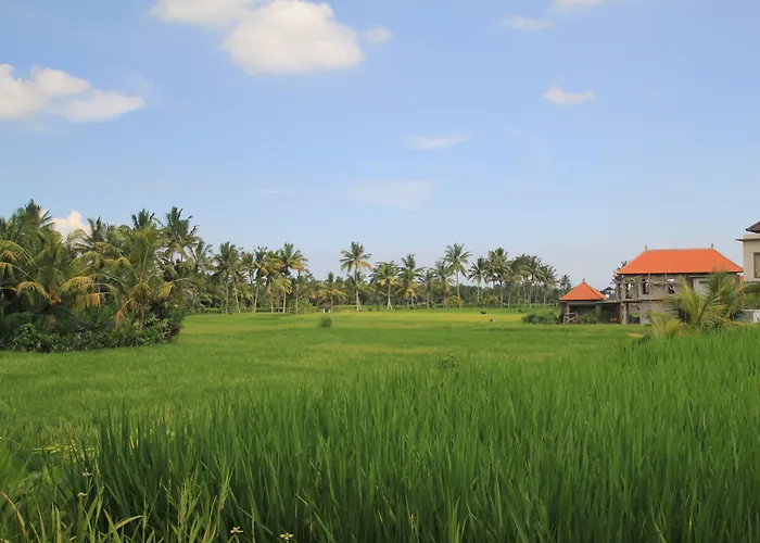 Bakung And 3* Ubud (Bali)