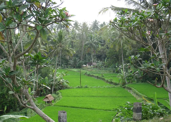 Bakung And Hotel Ubud (Bali)